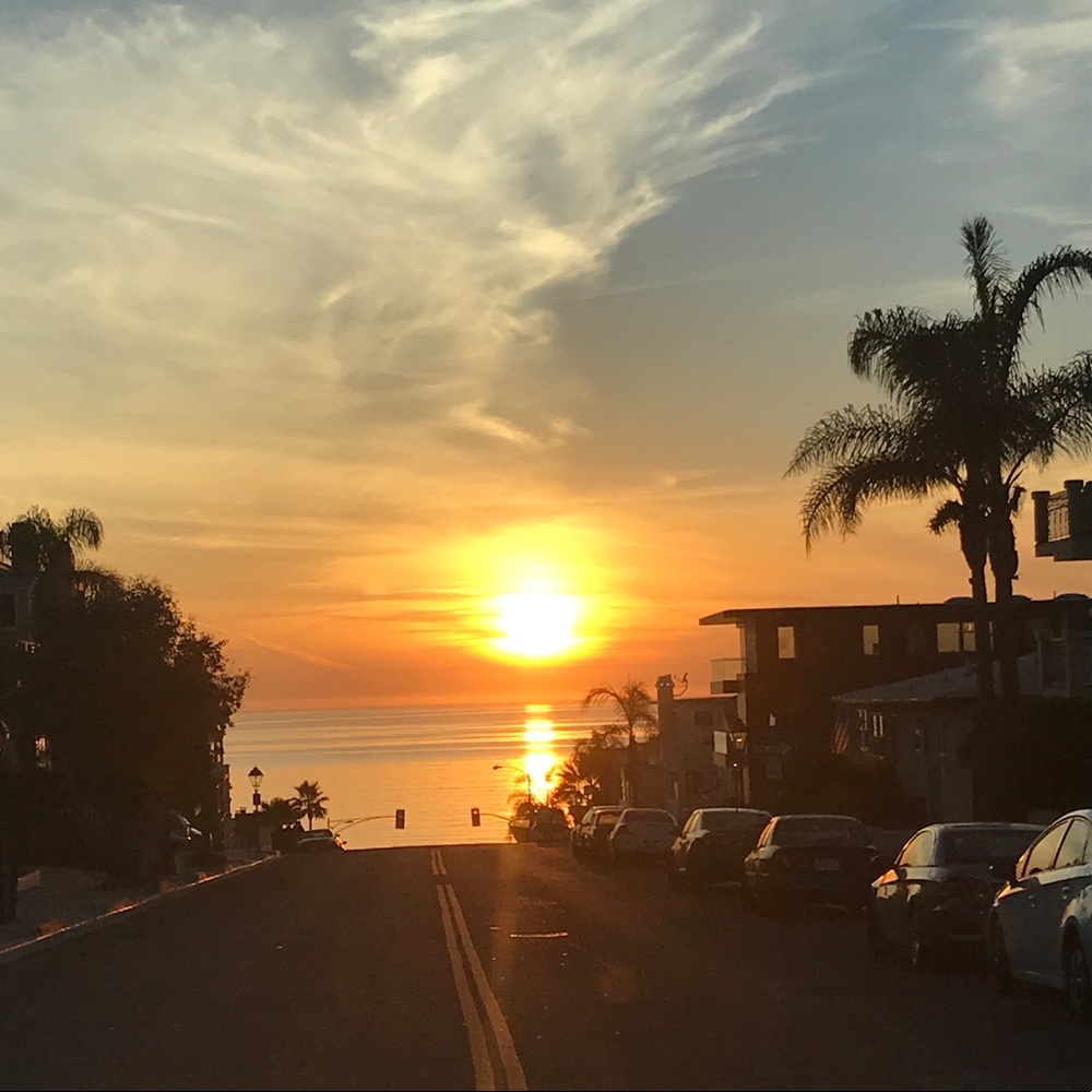 Meet your Posher, Anne